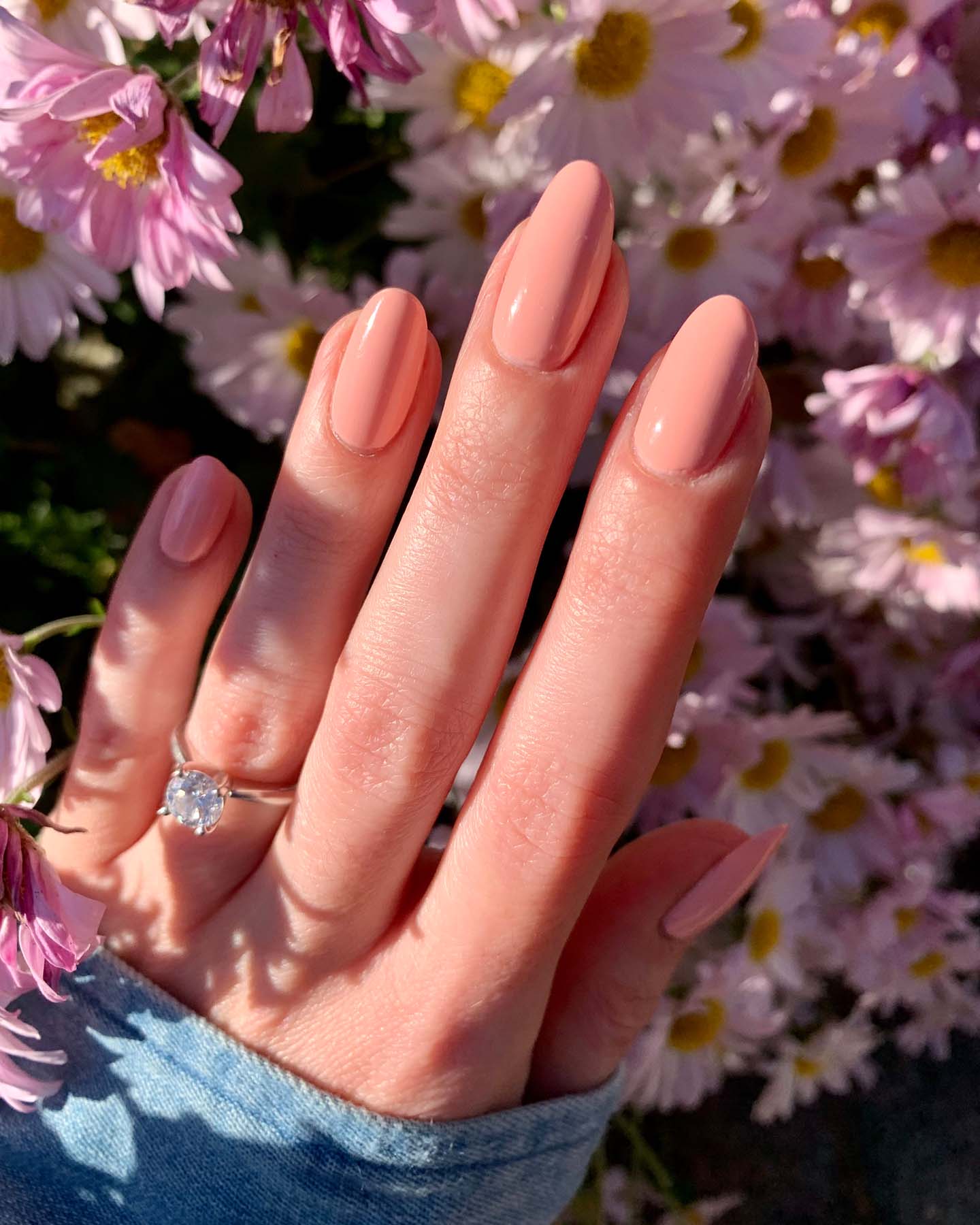 Blossom - Image 5
