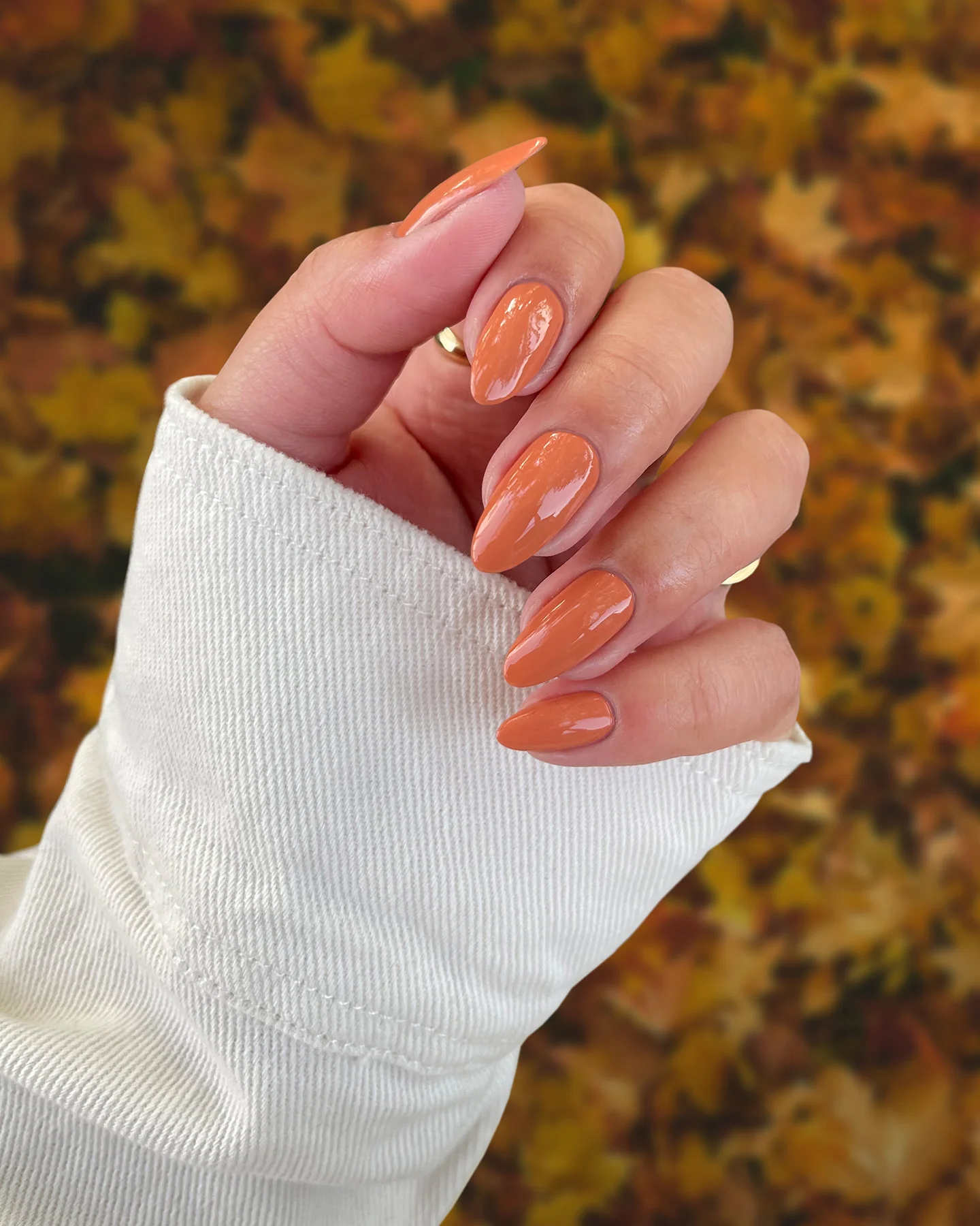 Carnelian - Image 4