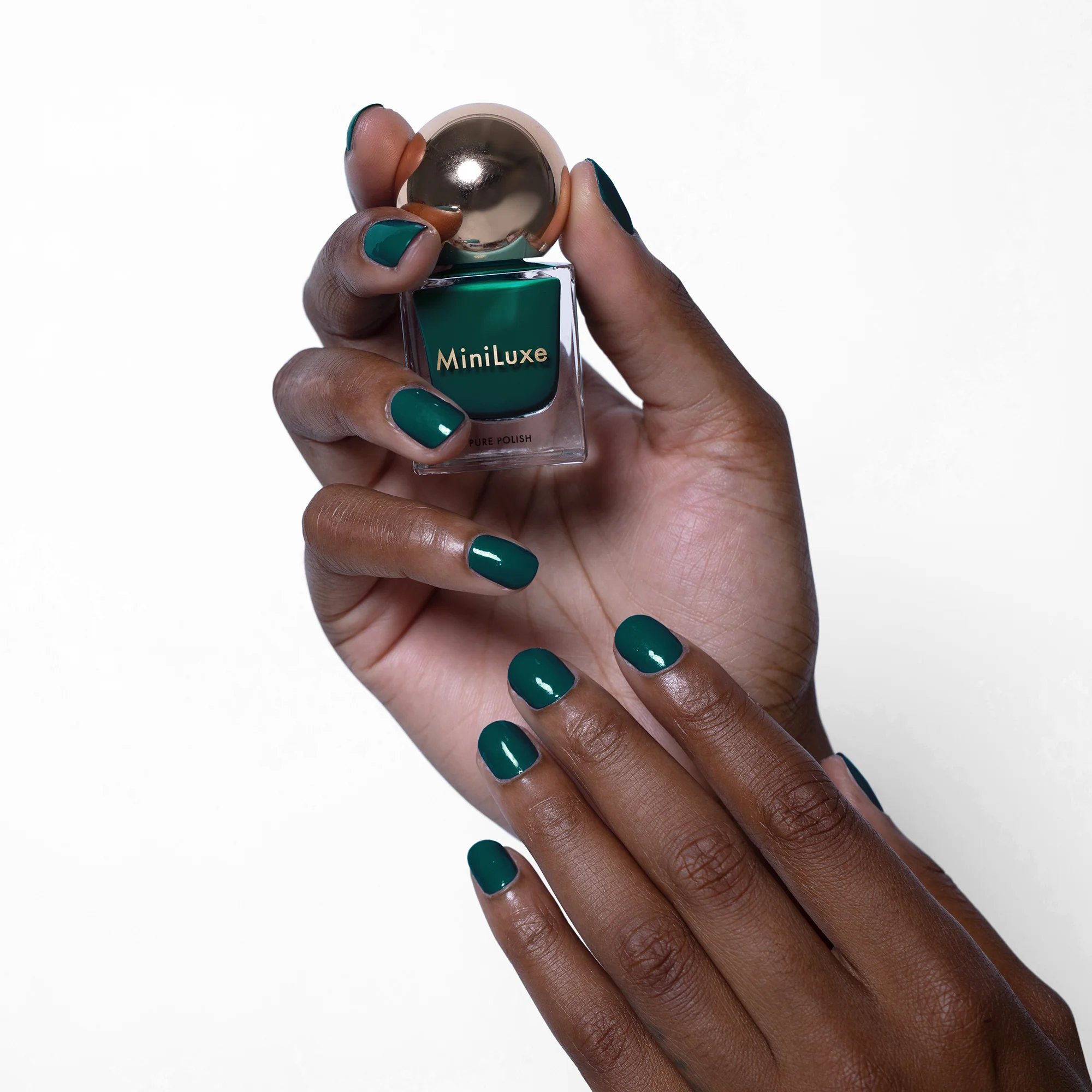 Evergreen - Image 4