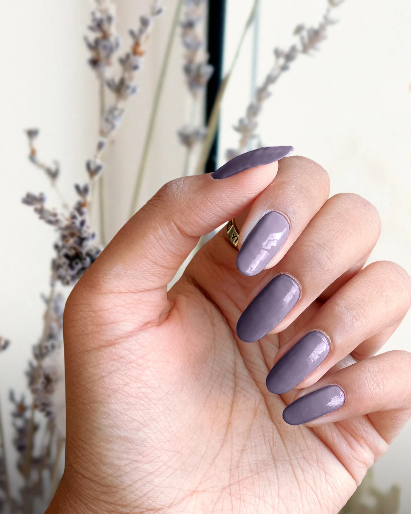 Lilac - Image 3