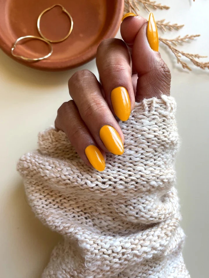 Marigold - Image 3