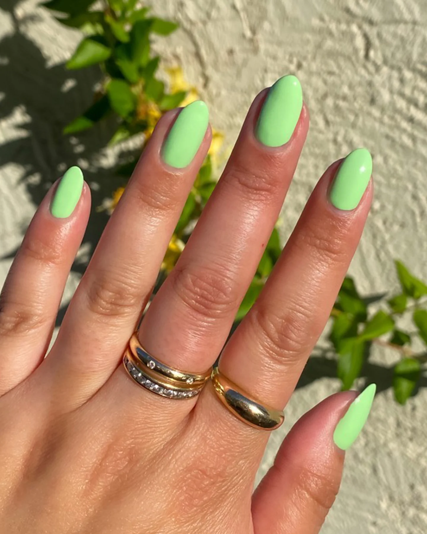 Mint Julep - Image 4