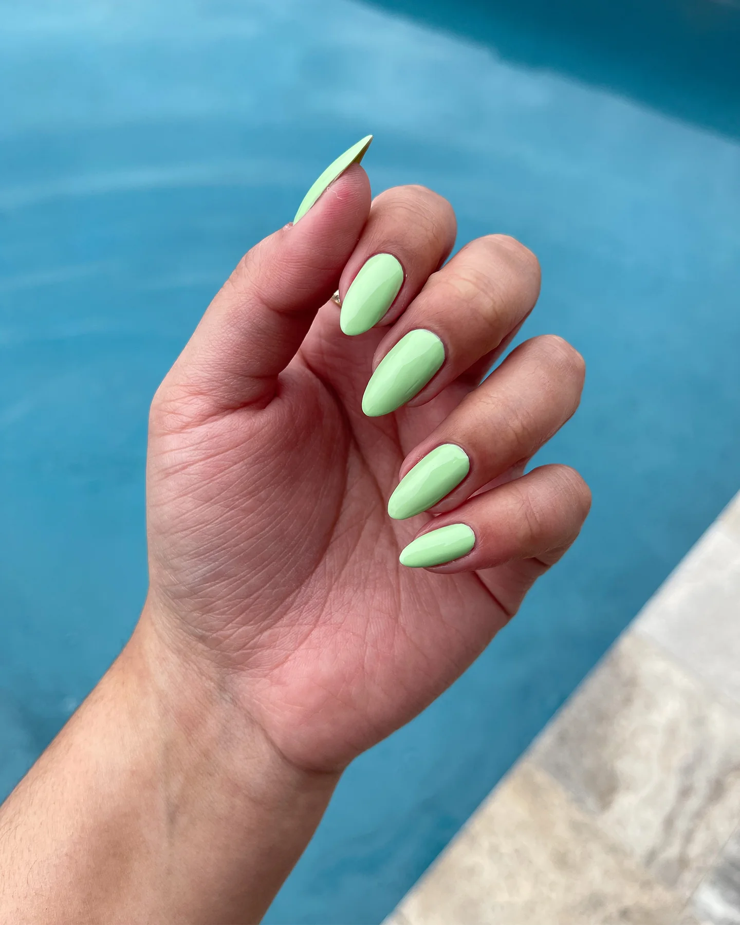 Mint Julep - Image 6