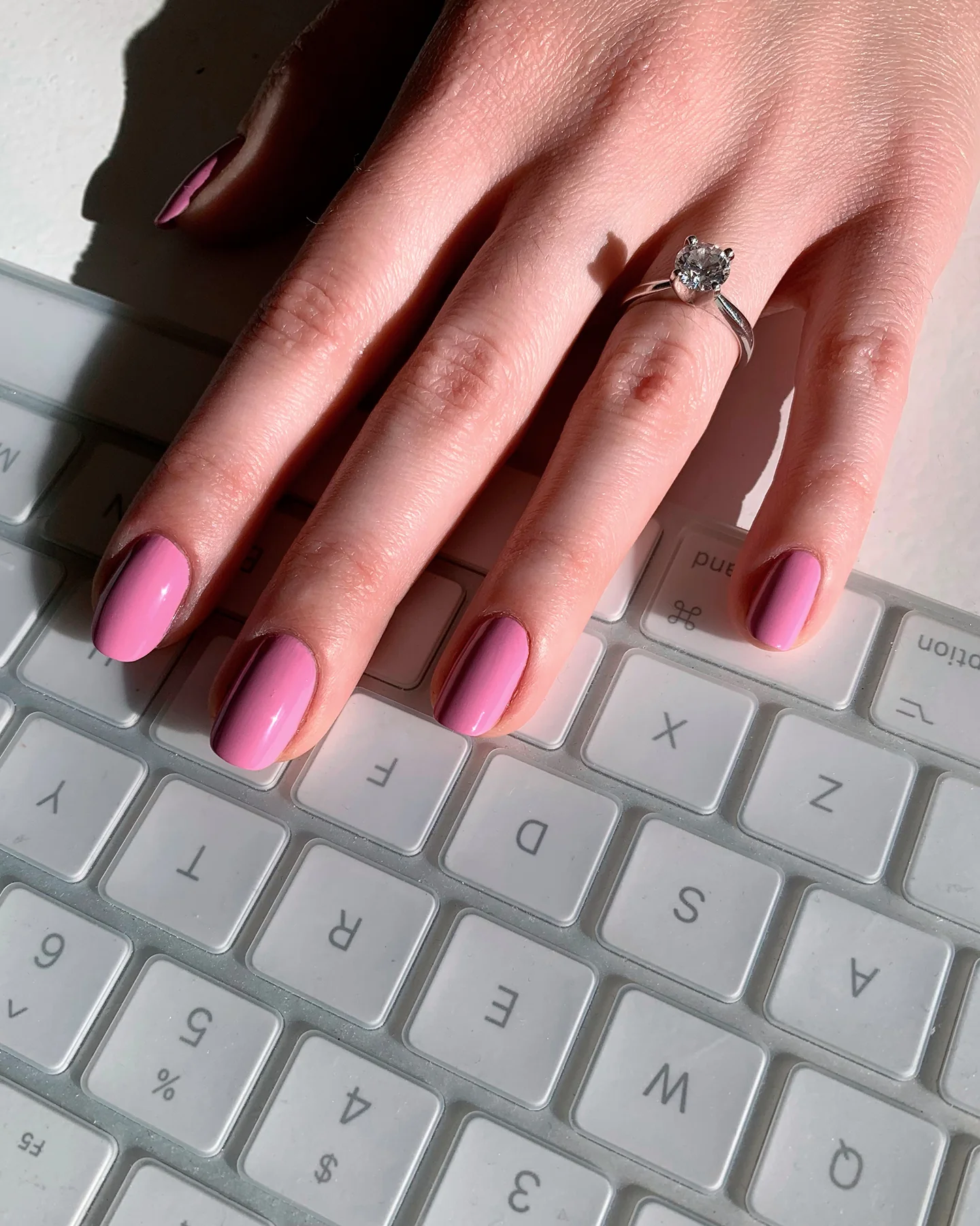 Pretty in Pink - Image 3